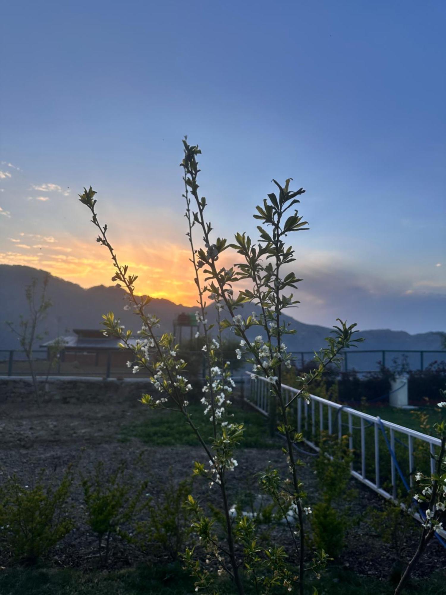 Highfield Villa Kanatal Luaran gambar